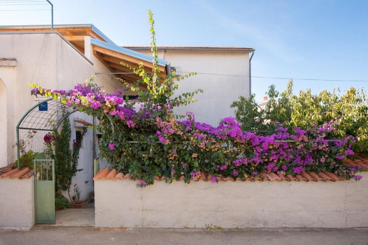 Apartments Anita Summer Vodice Exterior photo